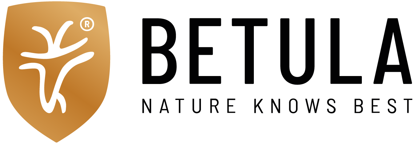 Betula Logo